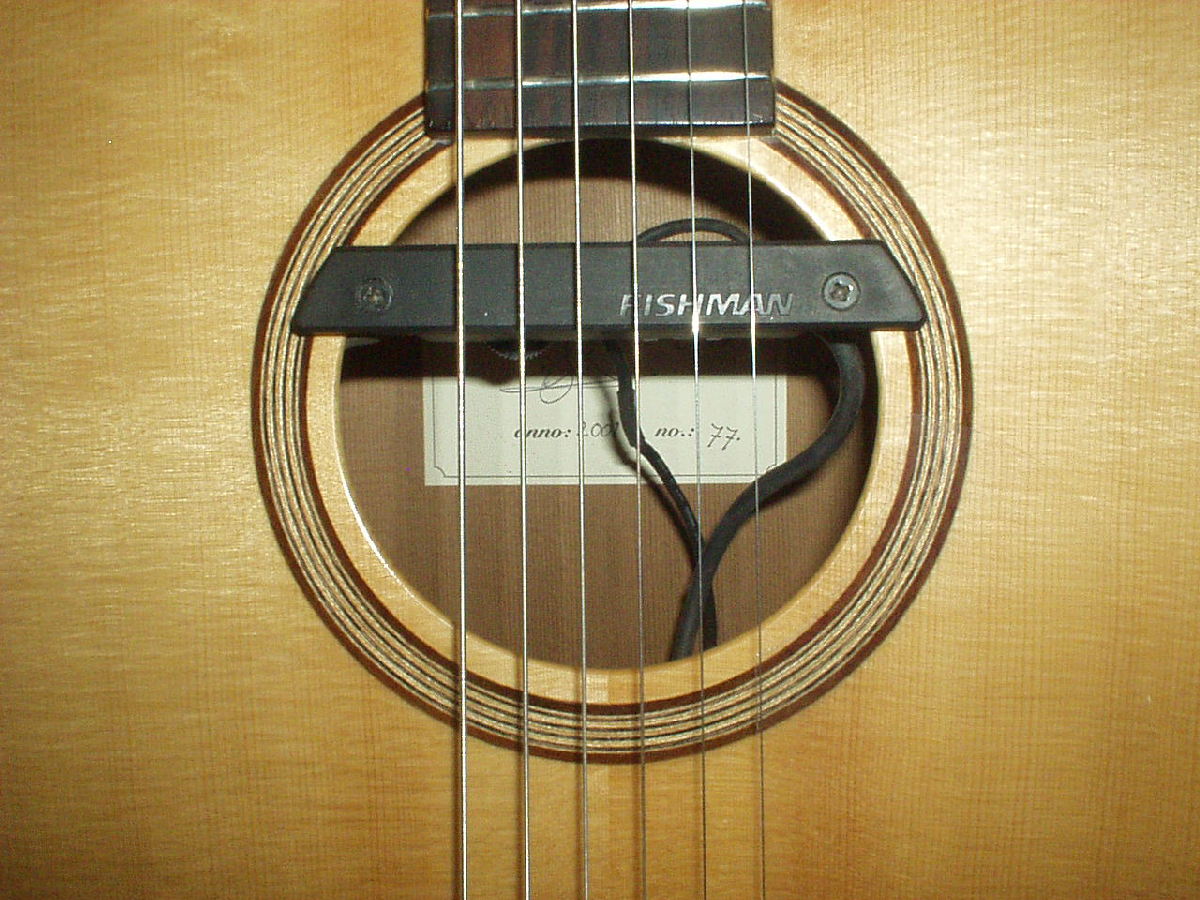 easy to install a soundhole pickup. 